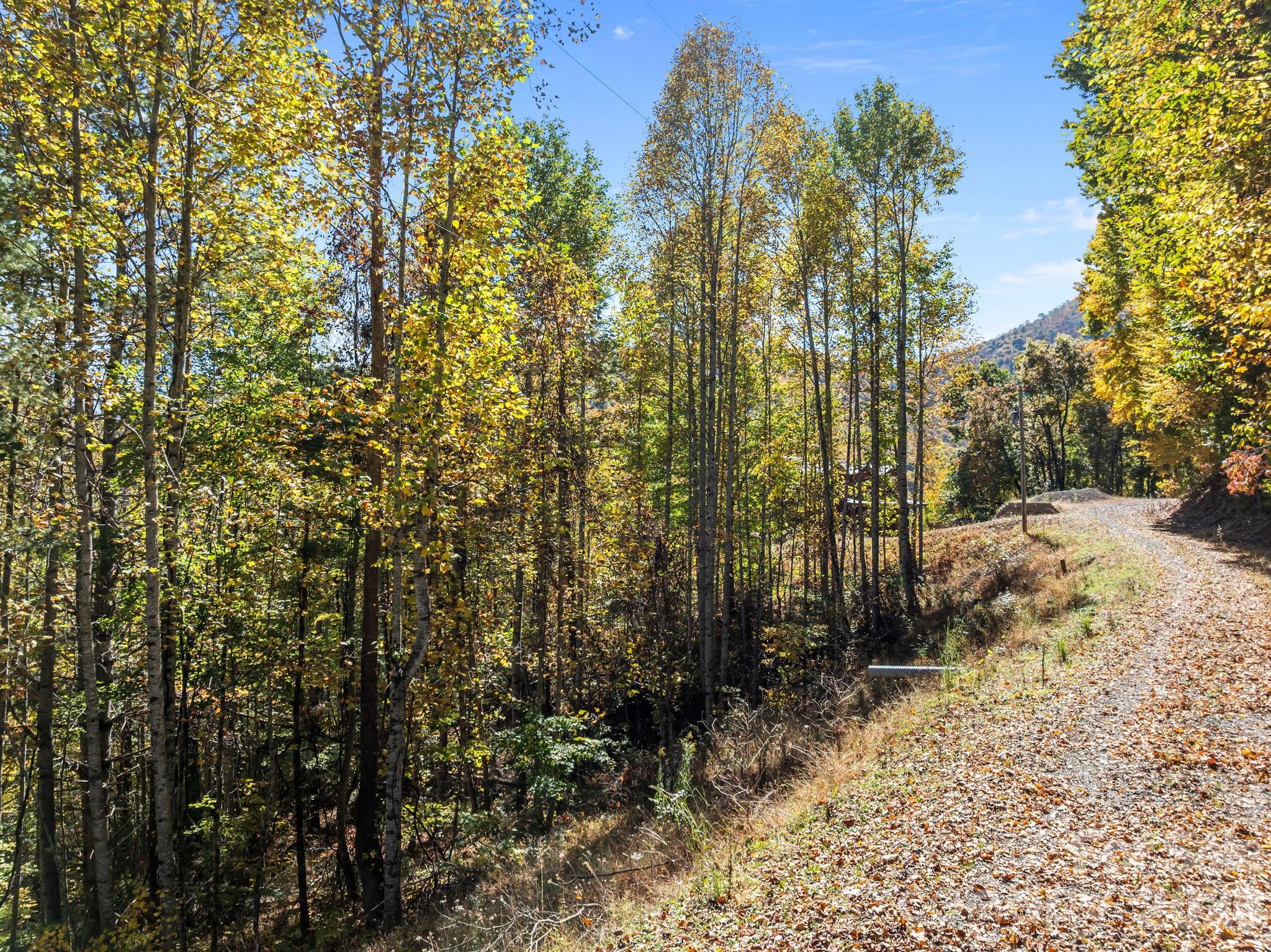 Lots 61 and  62 Wildwood Drive