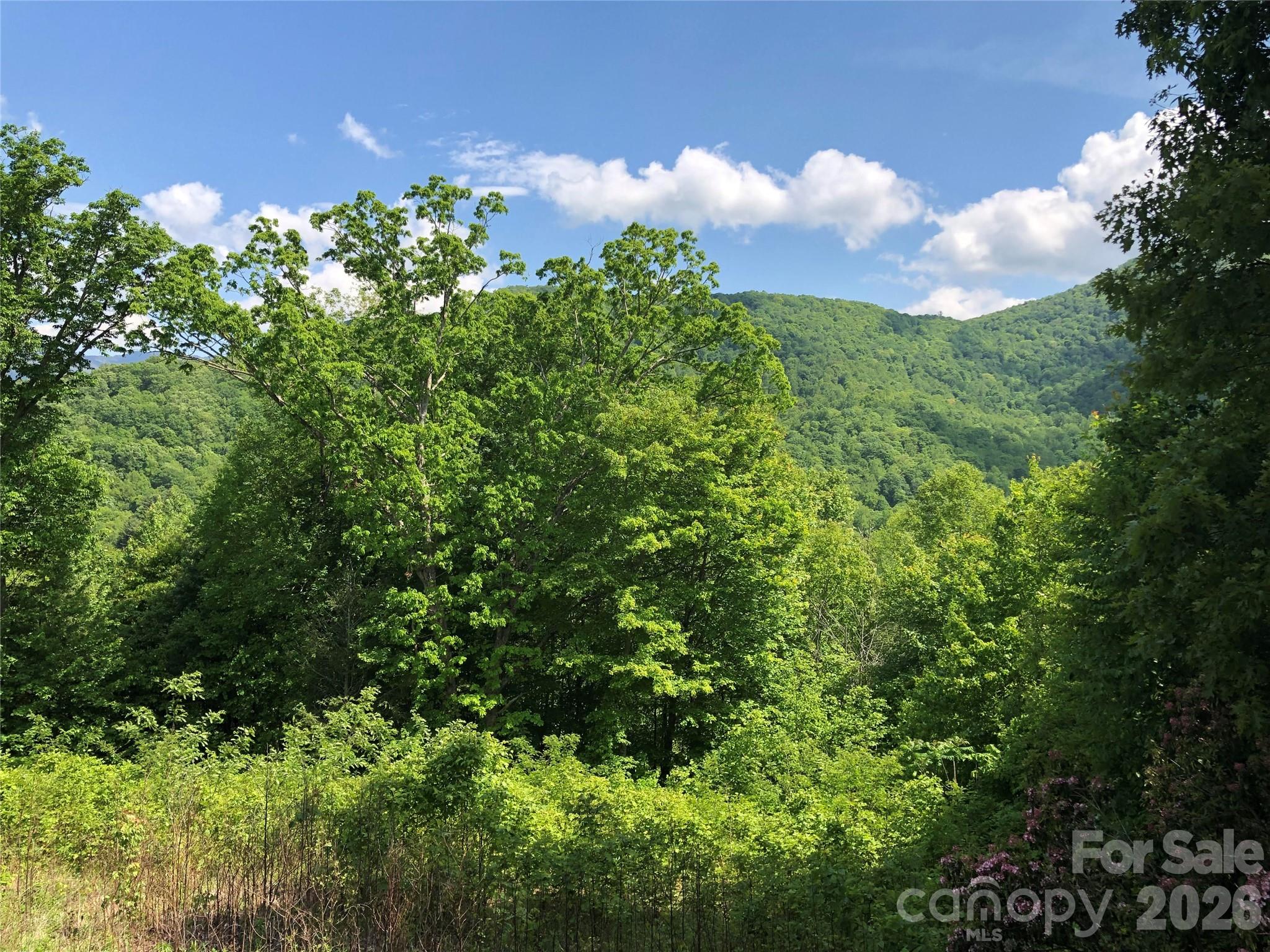 Lots 61 and  62 Wildwood Drive