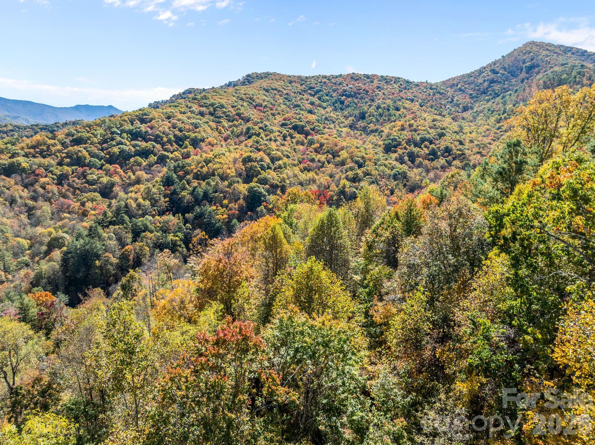 Lots 61 and  62 Wildwood Drive