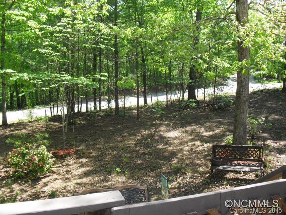 Rumbling Bald on Lake Lure - Residential
