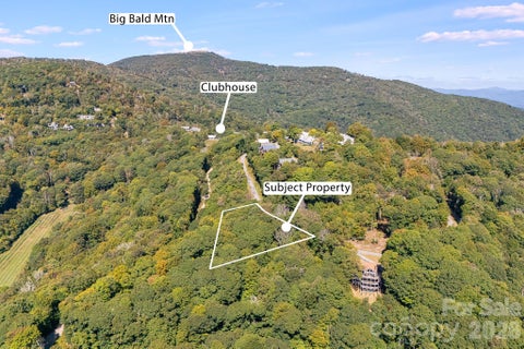 Photo of 731 McKinney Gap Drive, Mars Hill, NC 28754 (MLS # 4433672)
