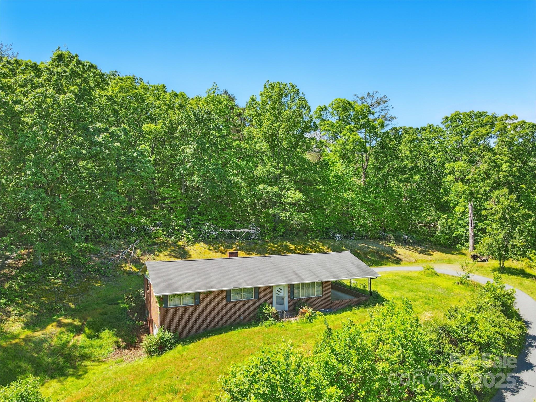 3120 Mineral Springs Mountain Road
