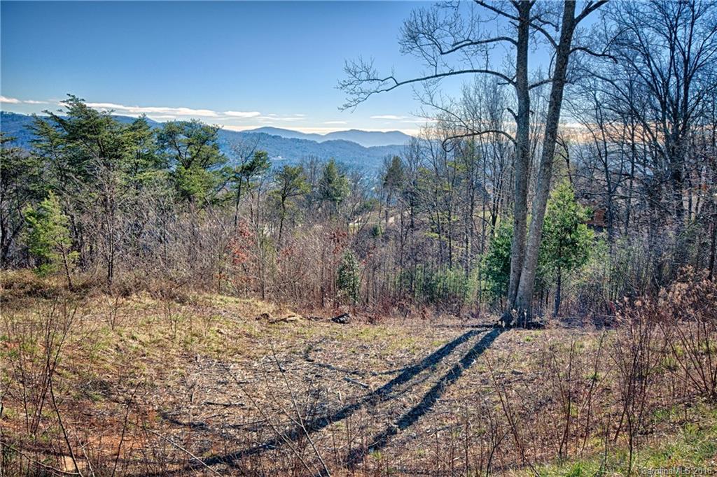 Reynolds Mountain - Land