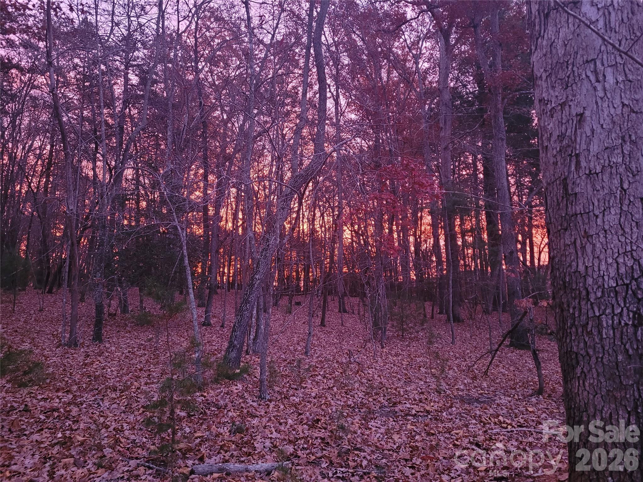 Winsome Forest - Residential