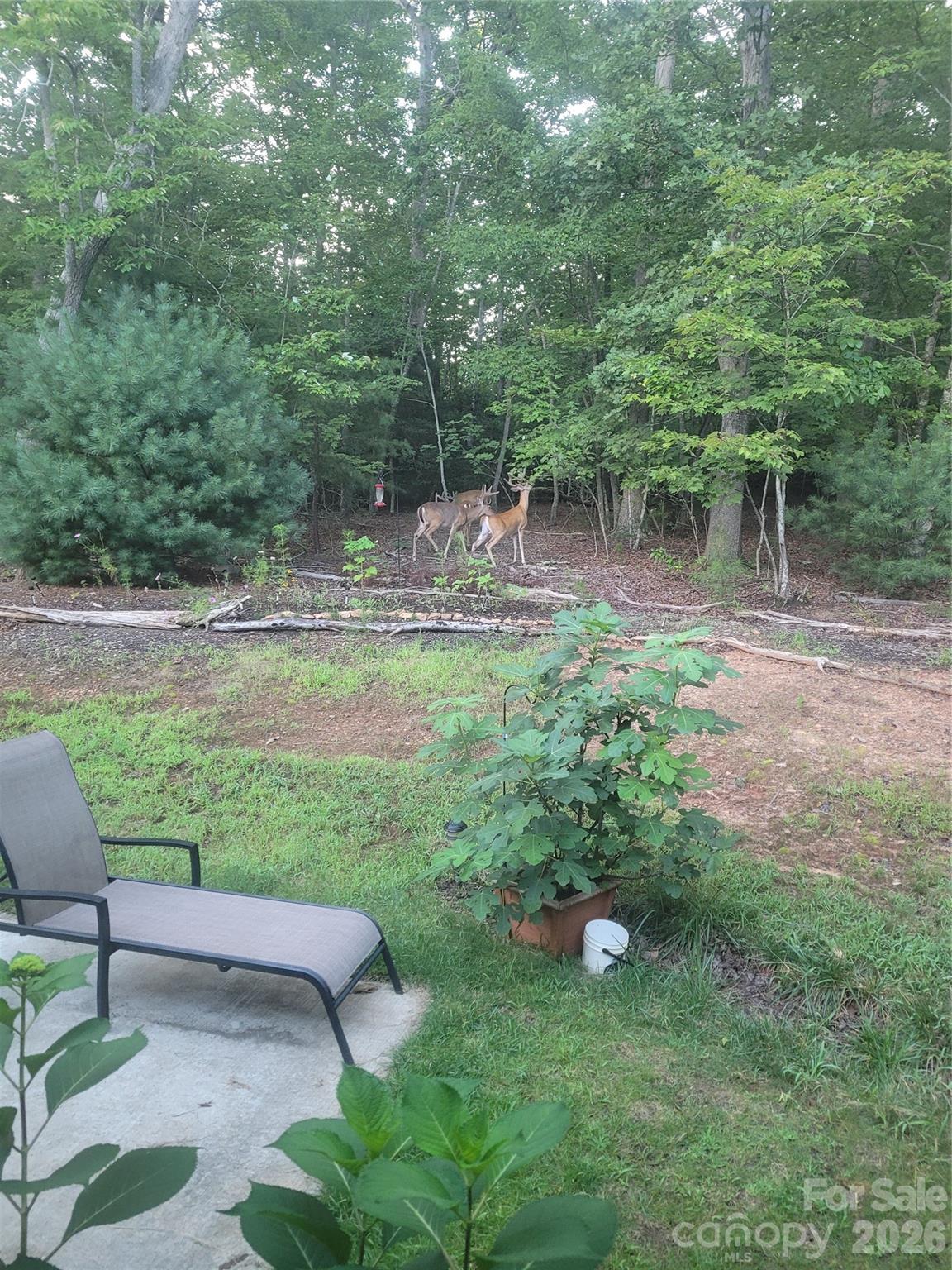 Winsome Forest - Residential