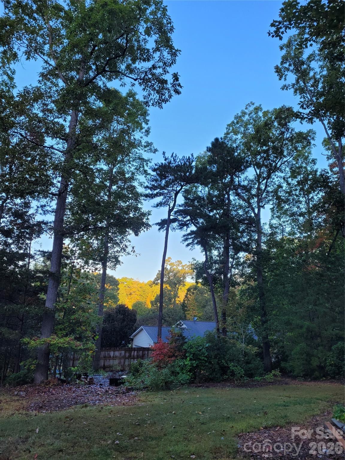 Winsome Forest - Residential