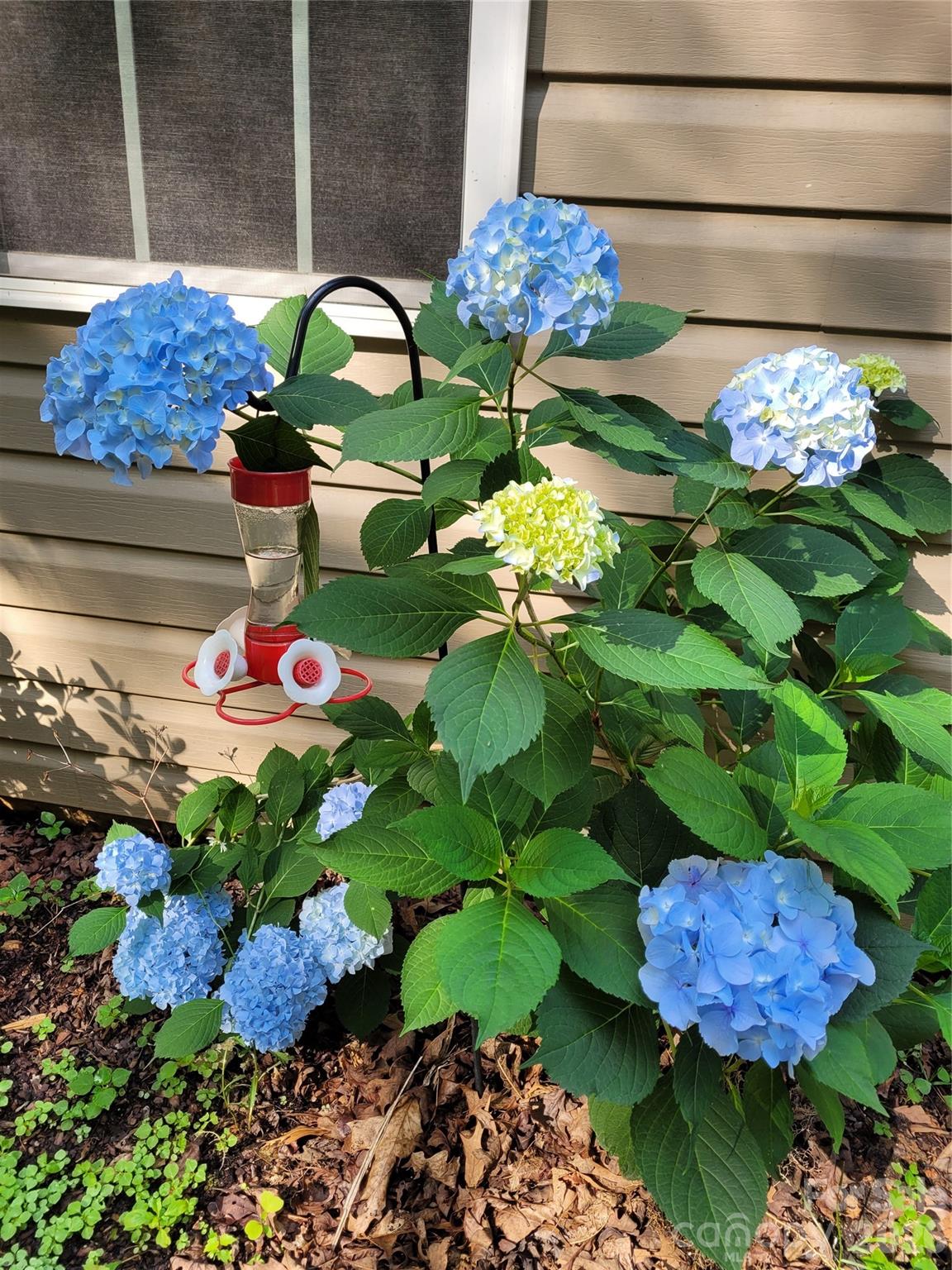 Winsome Forest - Residential