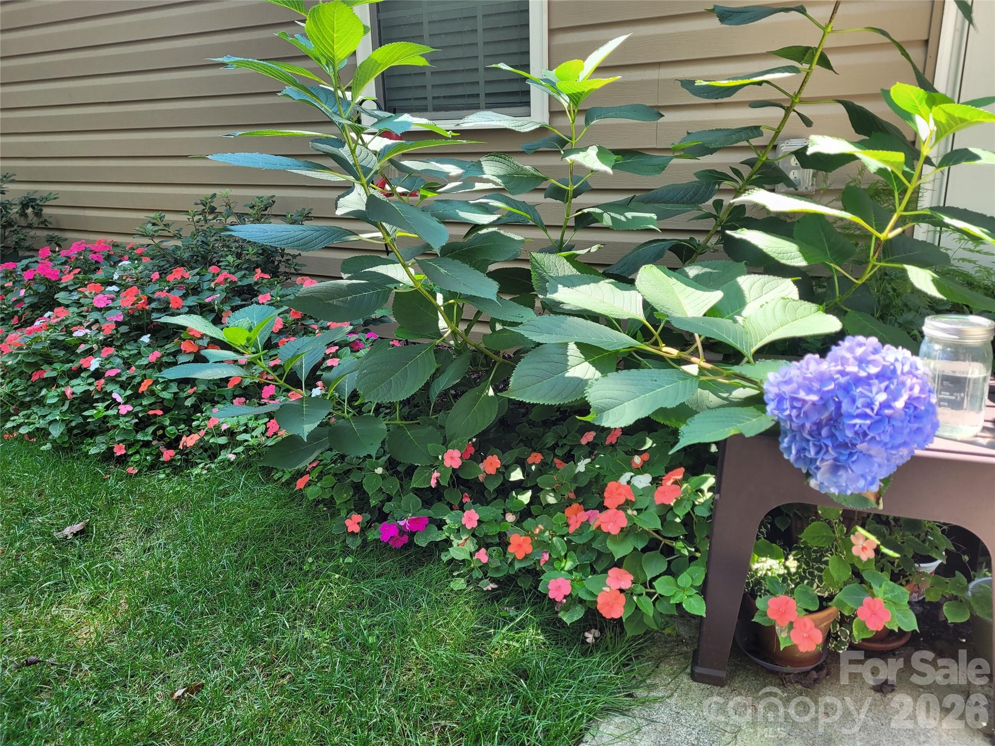 Winsome Forest - Residential