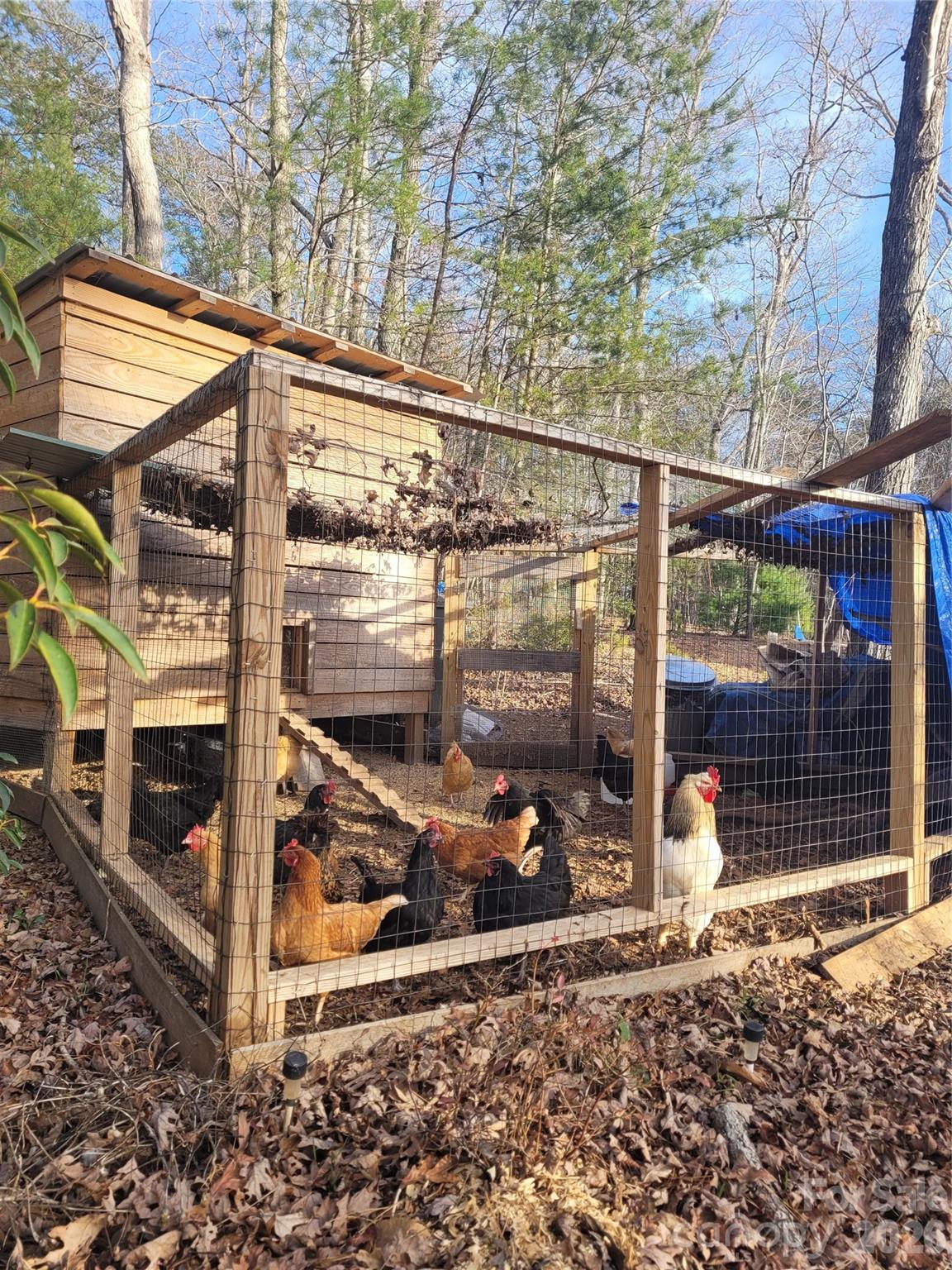 Winsome Forest - Residential