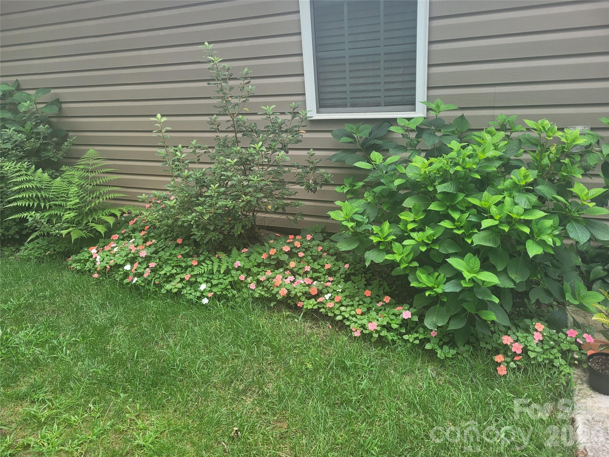 Winsome Forest - Residential