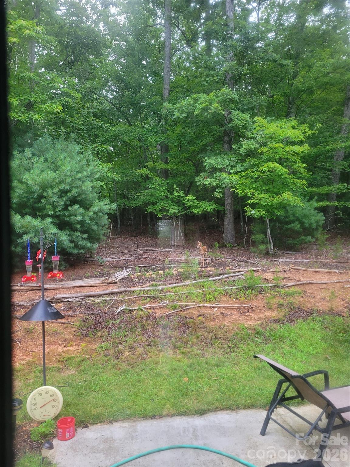 Winsome Forest - Residential