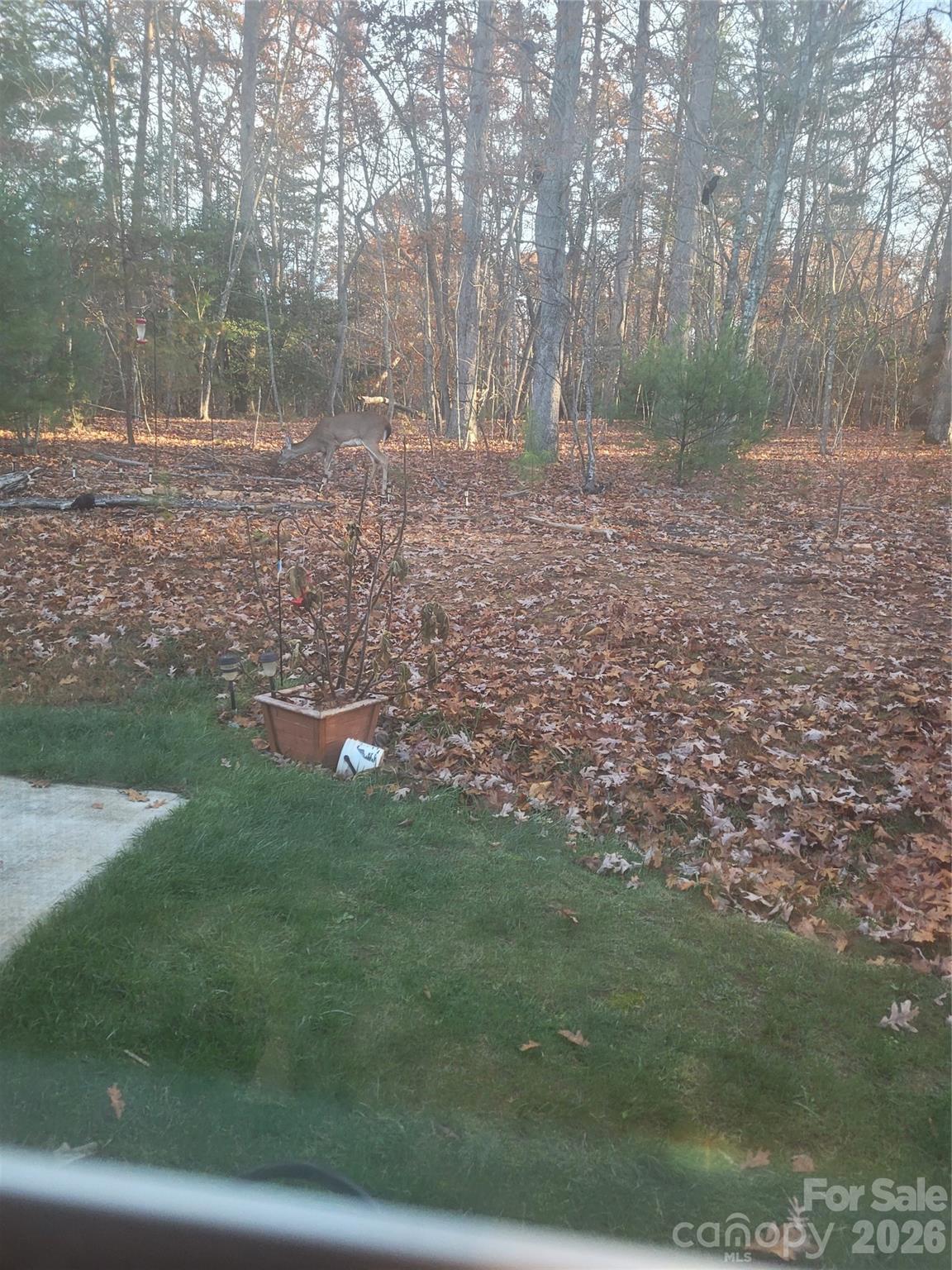 Winsome Forest - Residential