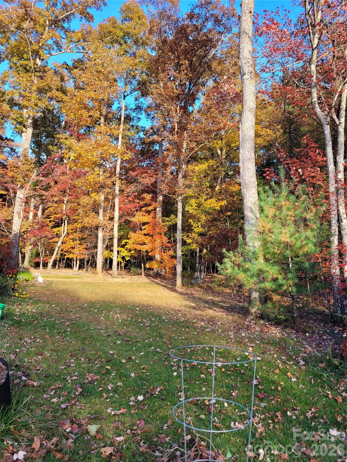 Winsome Forest - Residential