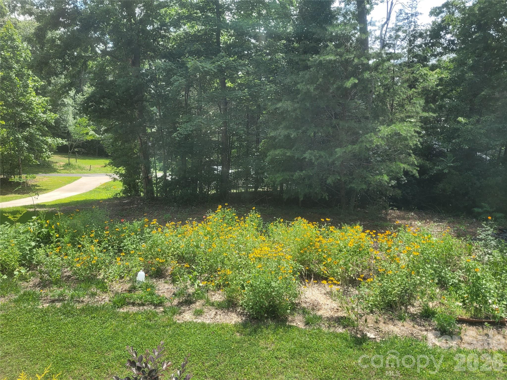 Winsome Forest - Residential