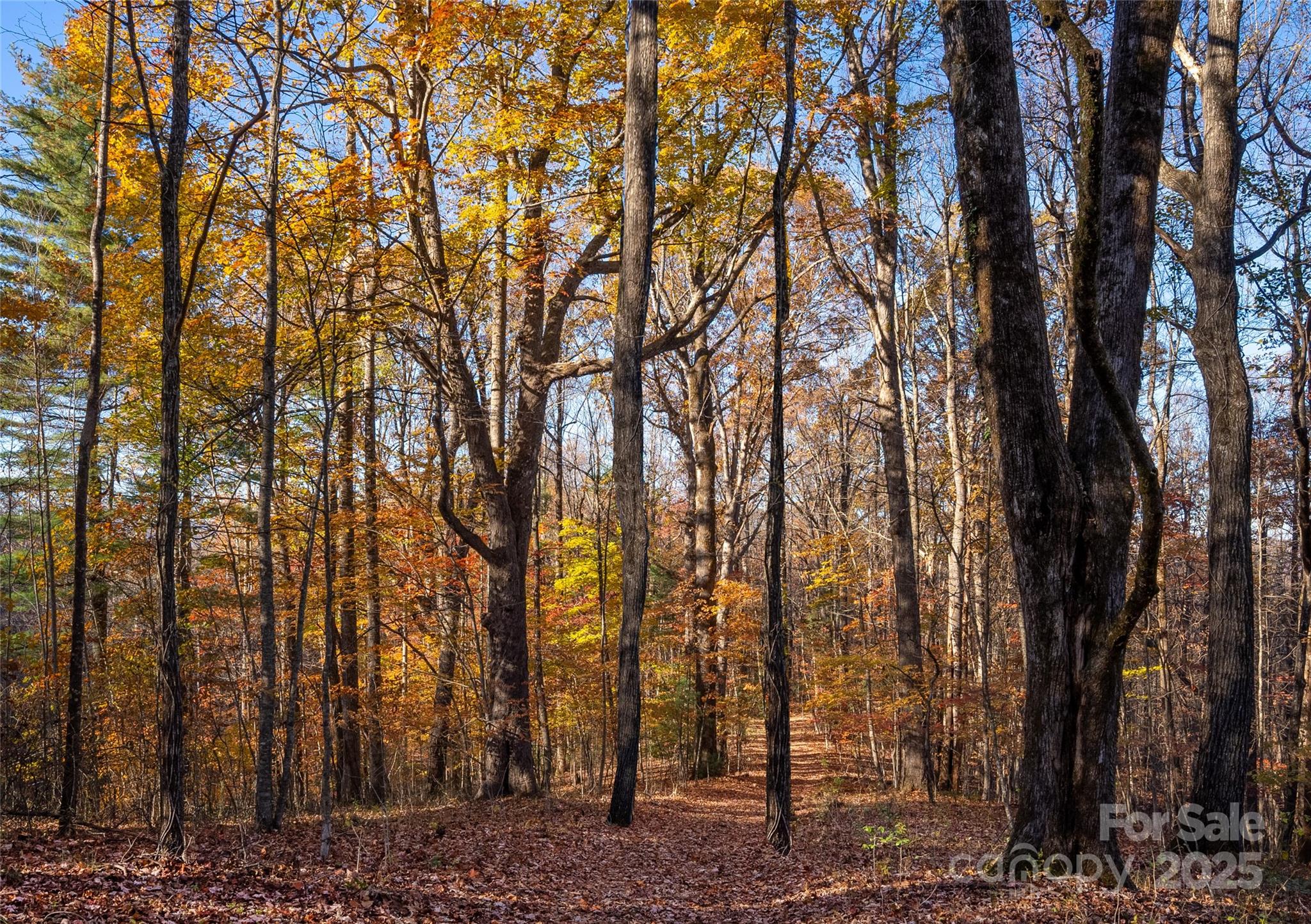 Lot 342 Severy Lane 342-A