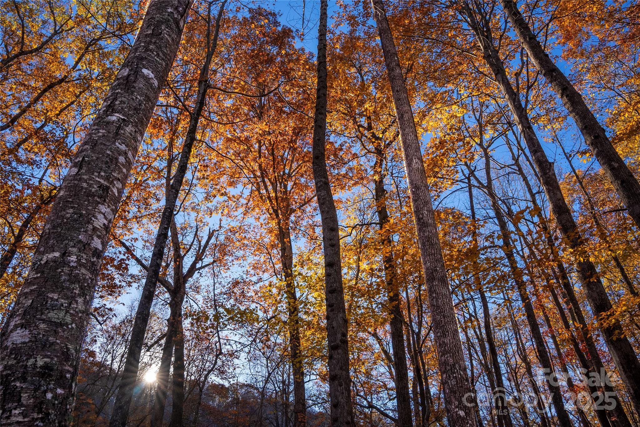 Lot 342 Severy Lane 342-A