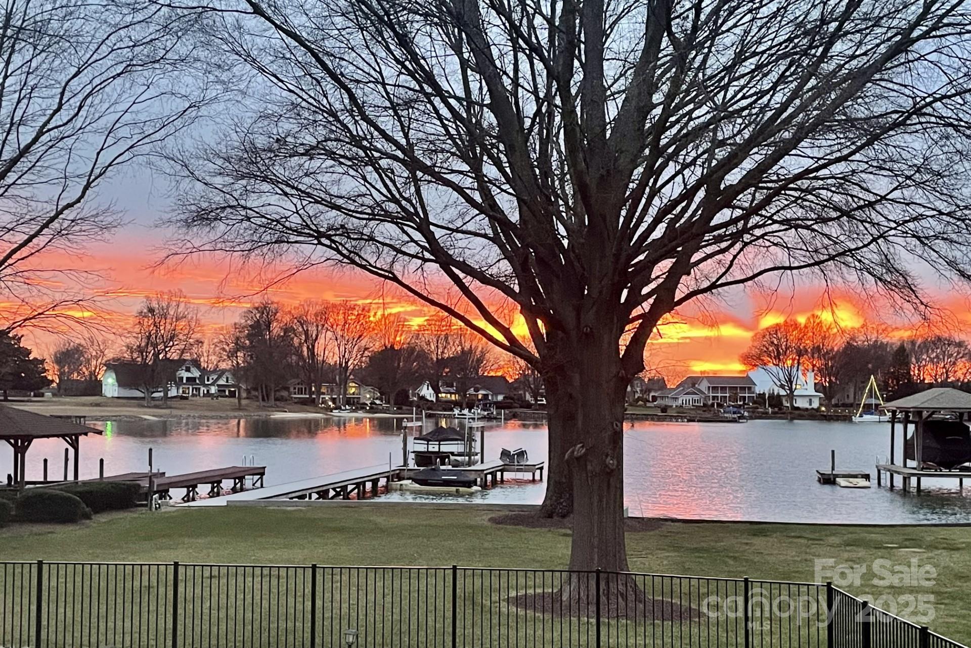 Island Forest - Residential