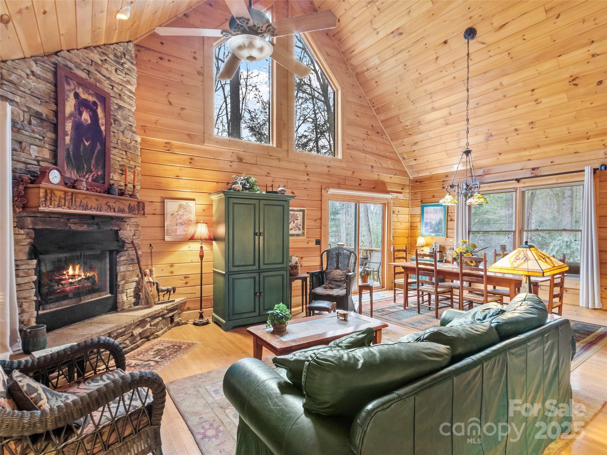 741 S Toe River Road