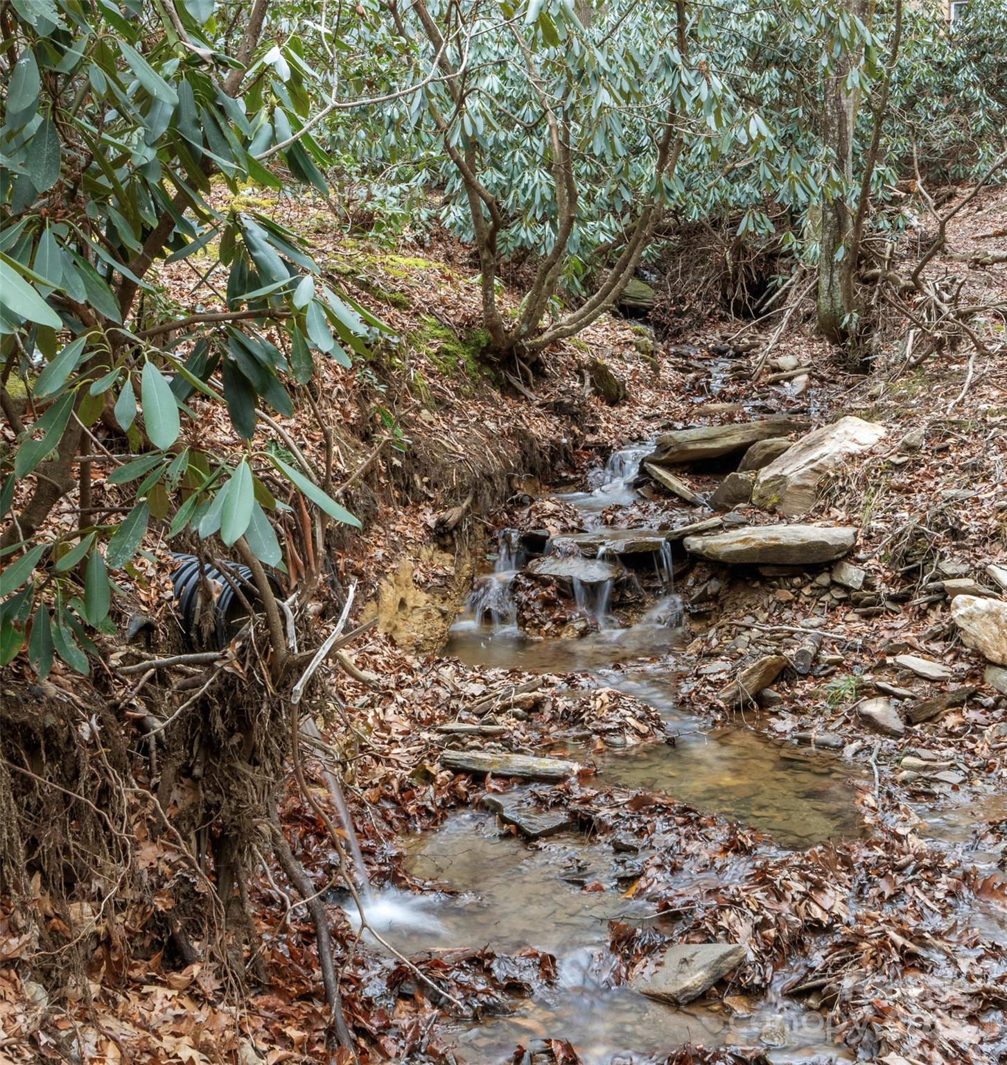 Mount Mitchell Lands - Residential