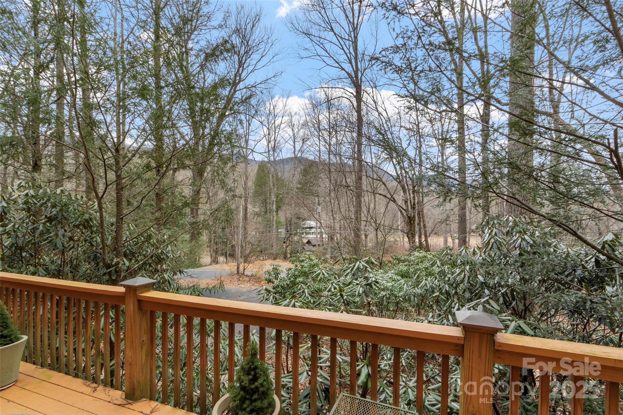 Mount Mitchell Lands - Residential