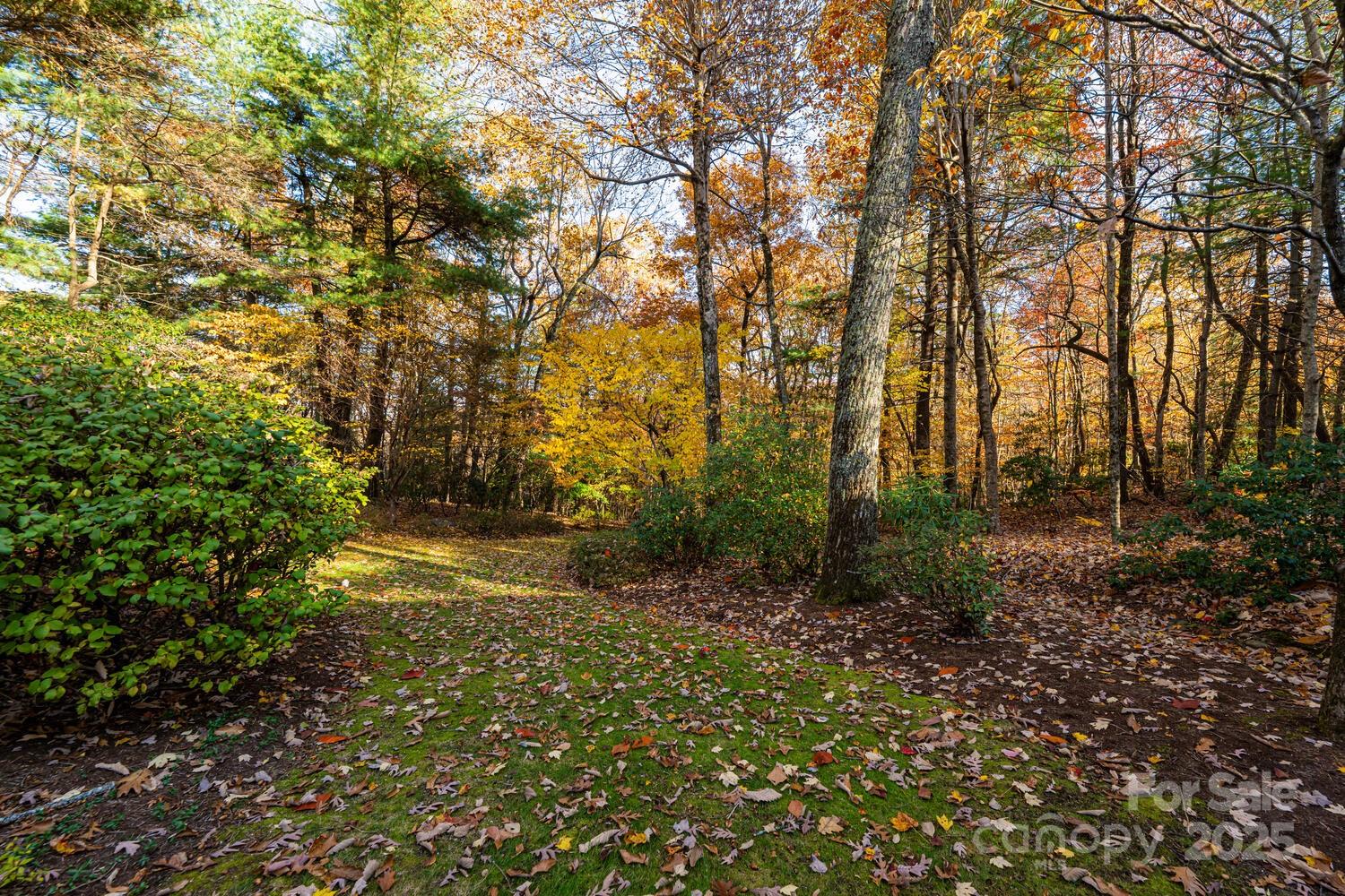 Kenmure - Residential