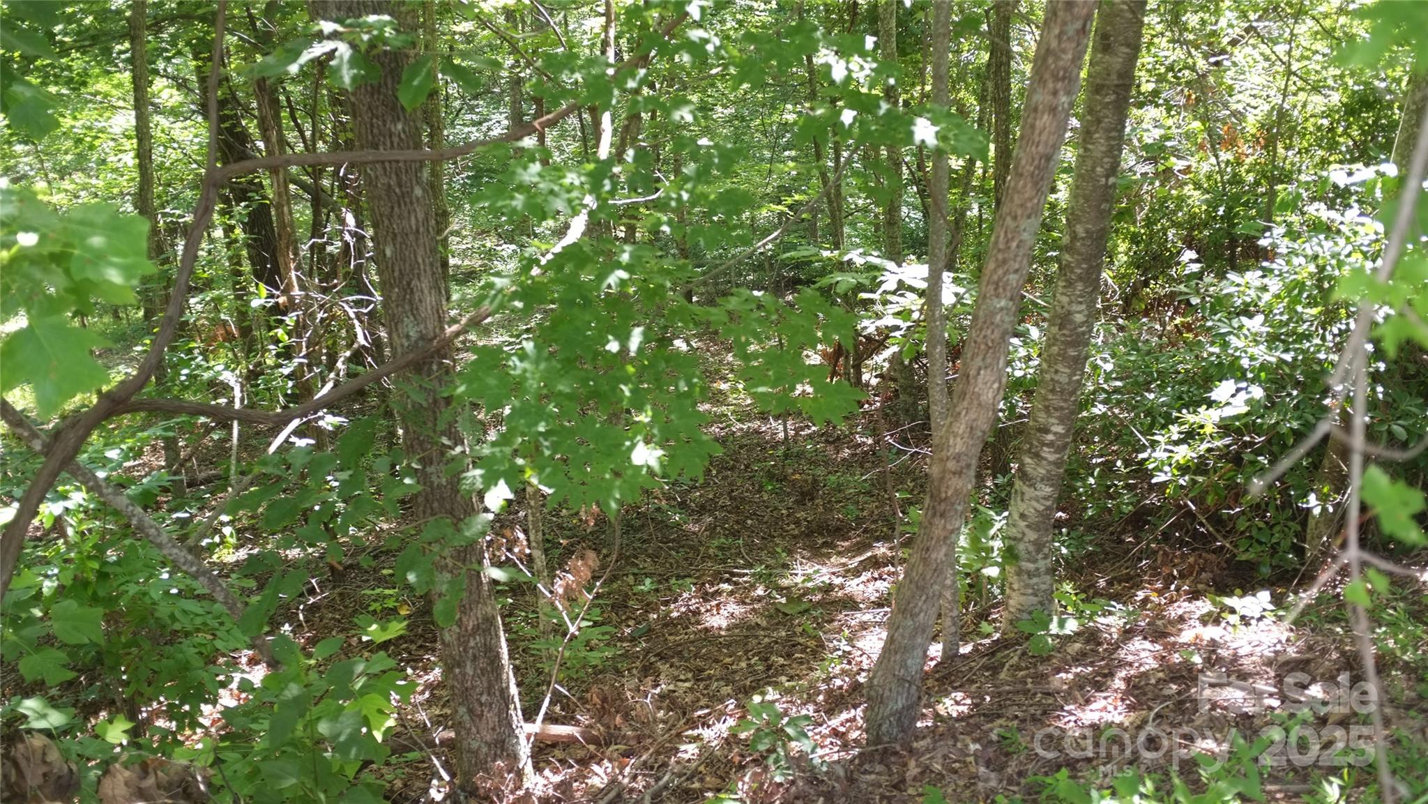 0 Sunset Ridge Drive Lot#11