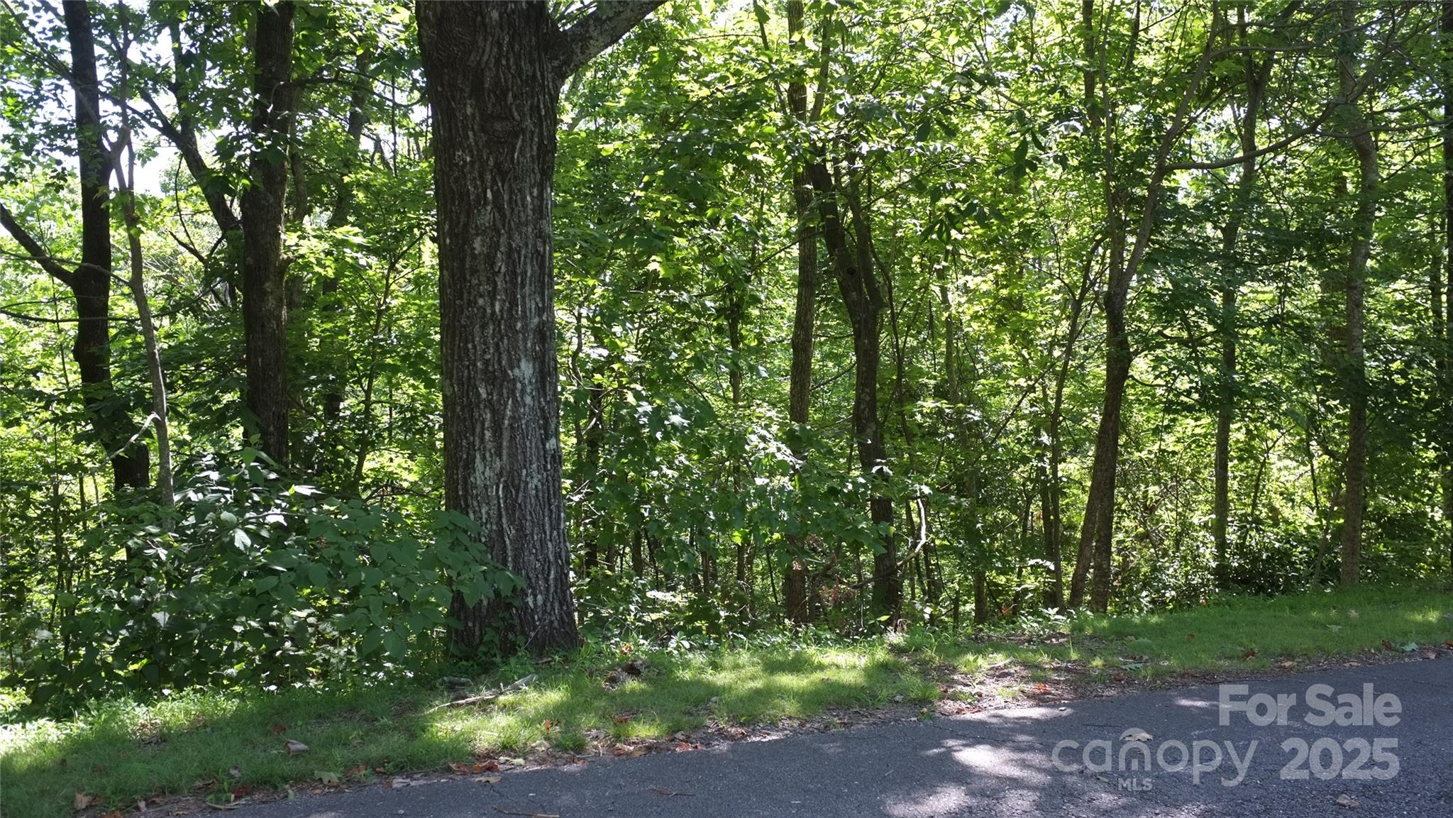 0 Sunset Ridge Drive Lot#11