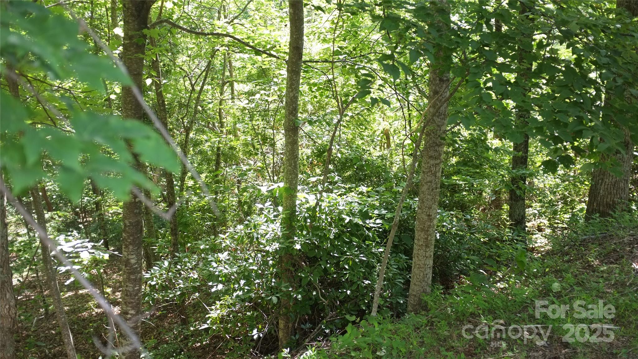0 Sunset Ridge Drive Lot#11