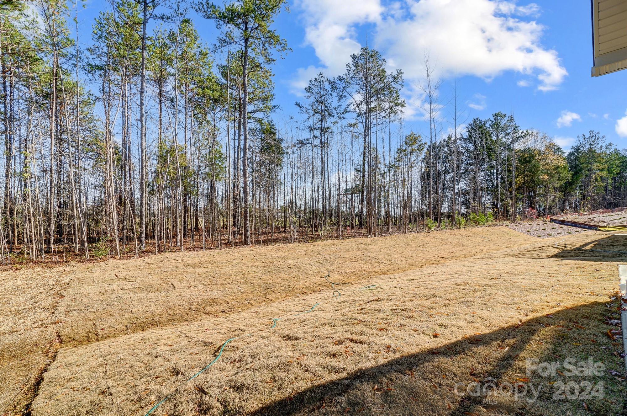 Hampton Woods - Residential