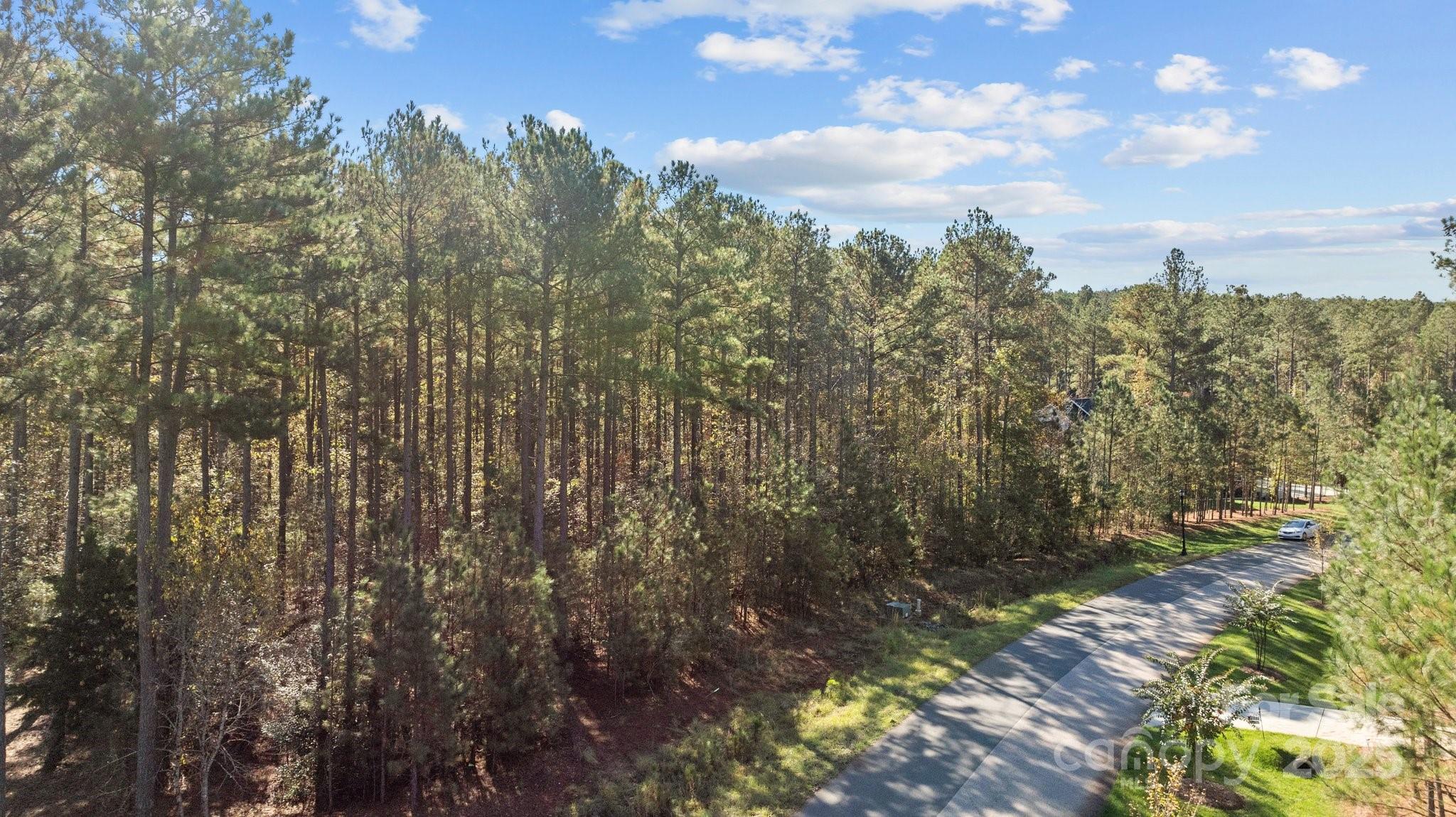 Riverchase Estates - Land