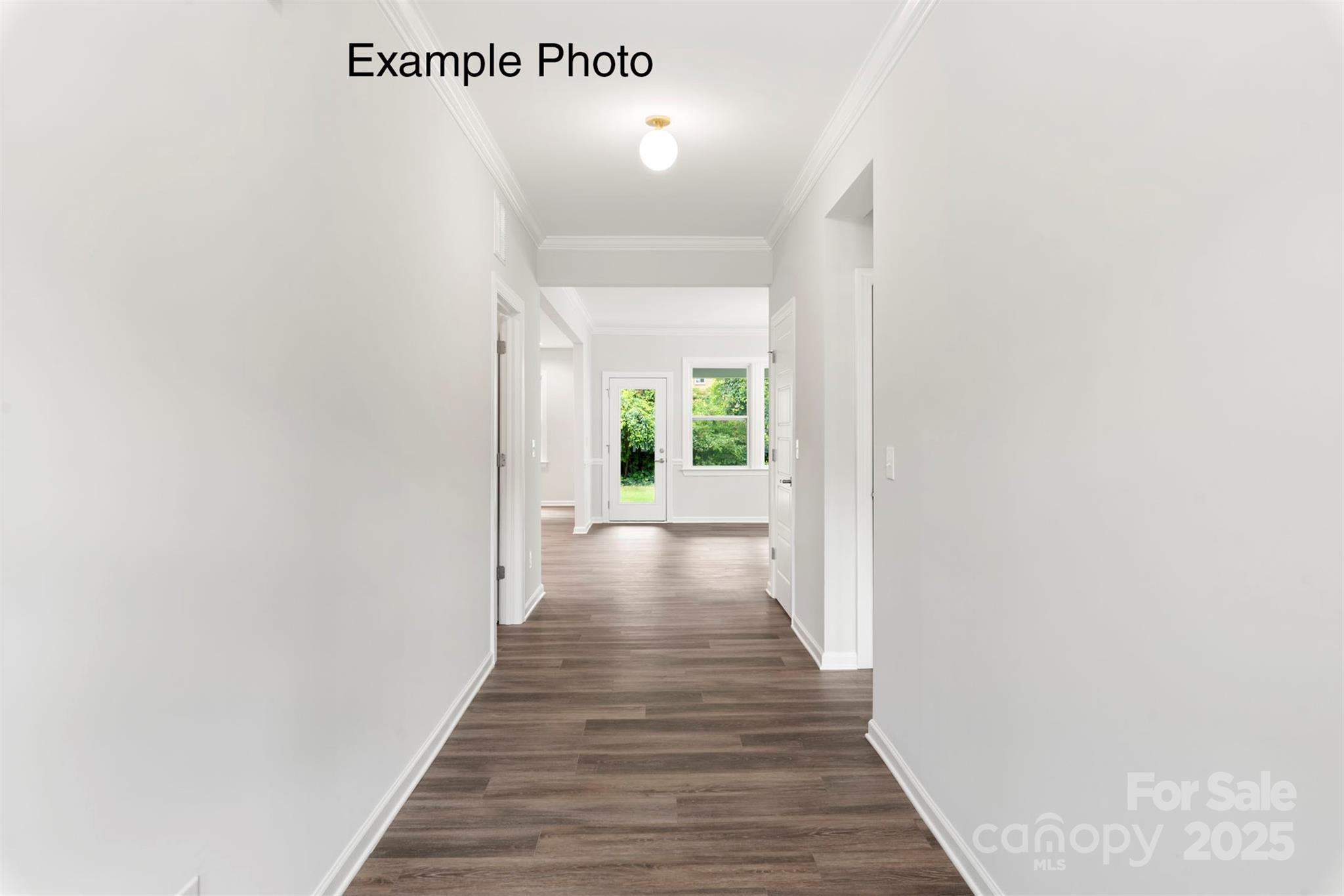 1714 Tabby Drive CAL0044