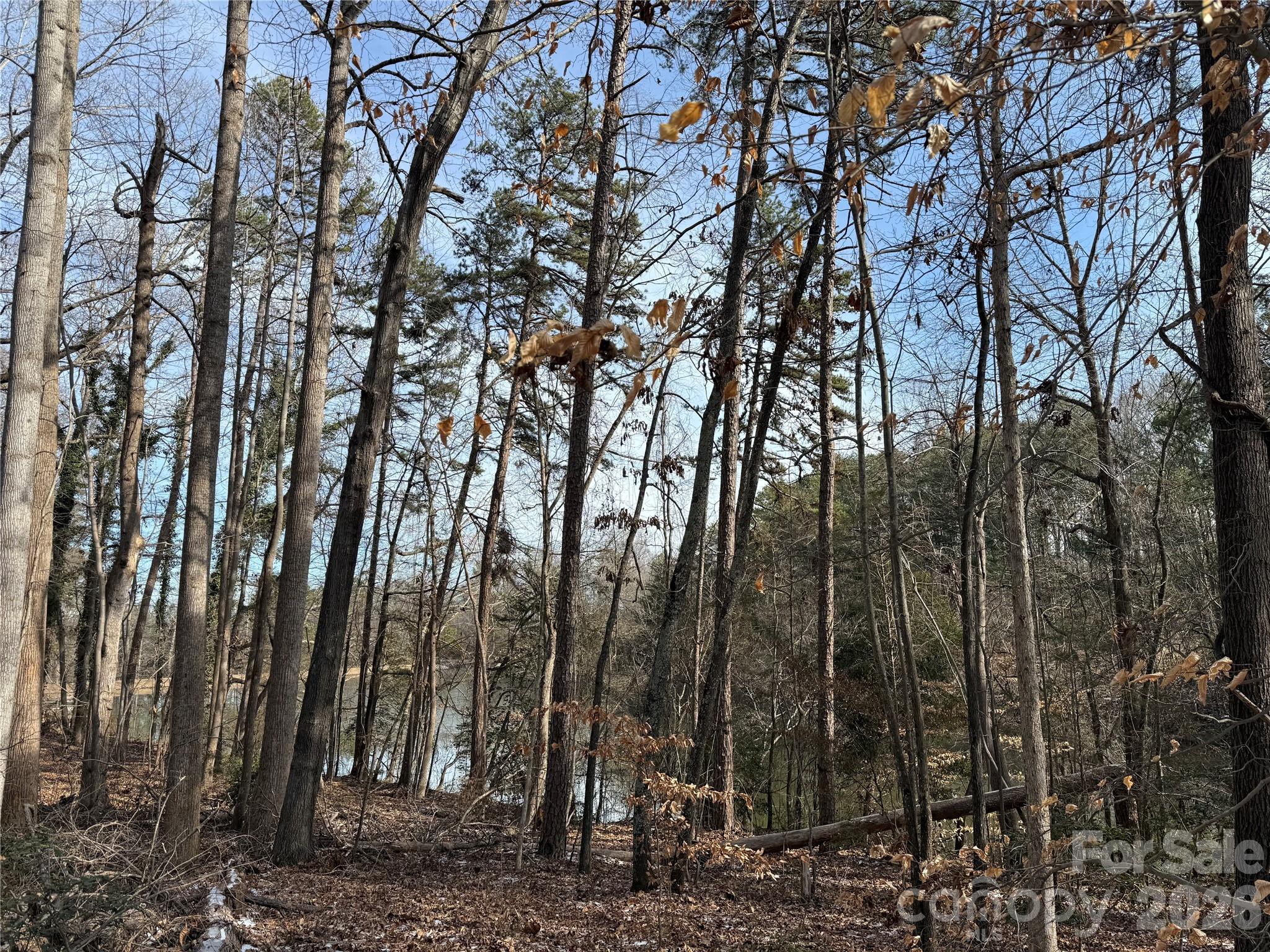 868 Bellegray Road