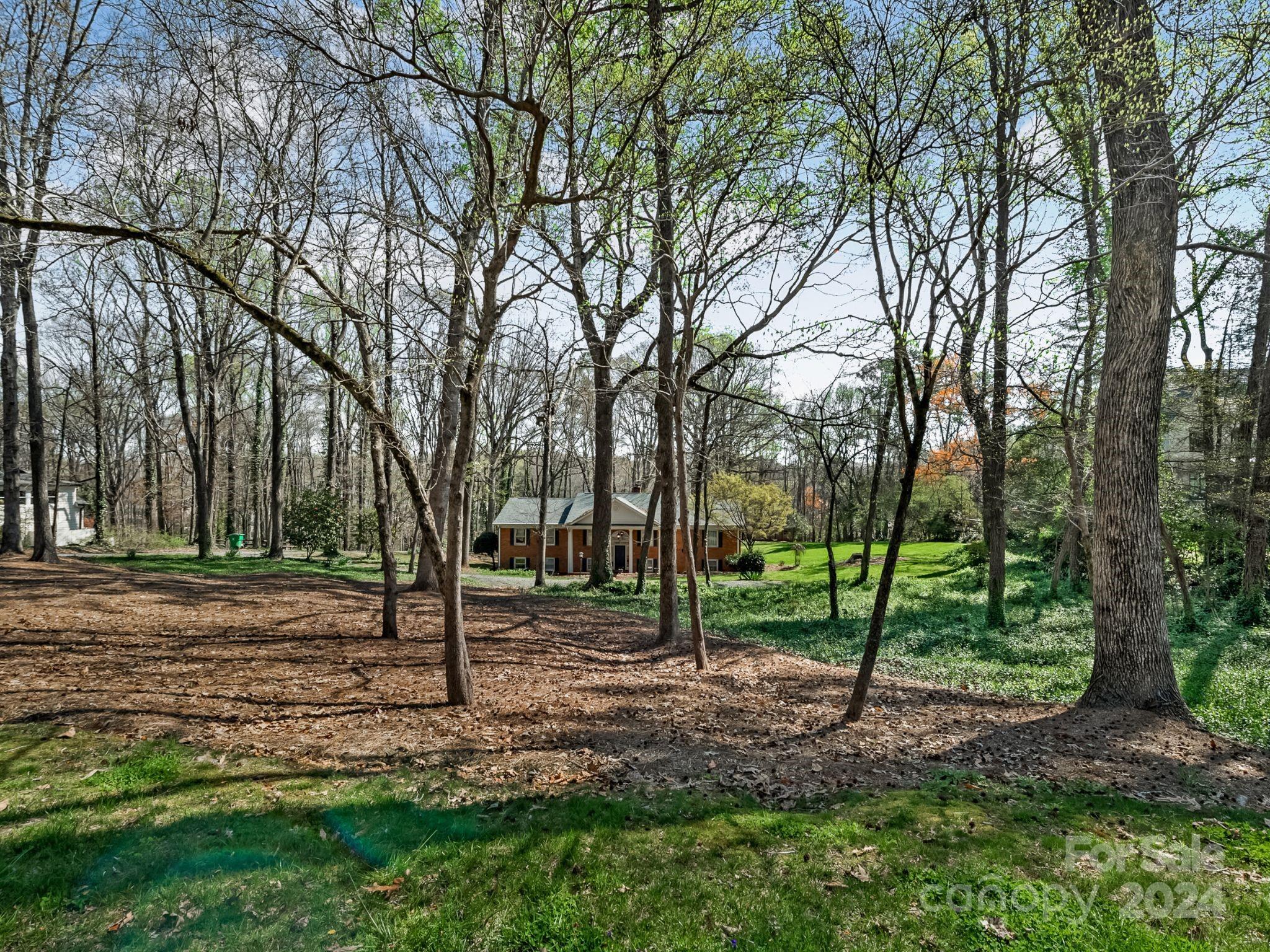 Highland Forest - Land