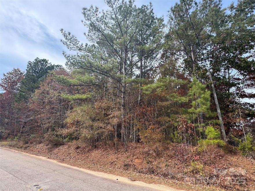 Come see this (+/-)1.044-acre property located on Russell Road in Blackstock, SC. This beautiful piece of land offers potential for your future investment plans. Conveniently located near Chester County schools and just a short drive to downtown Chester, this property provides a peaceful rural setting with easy access to town amenities.