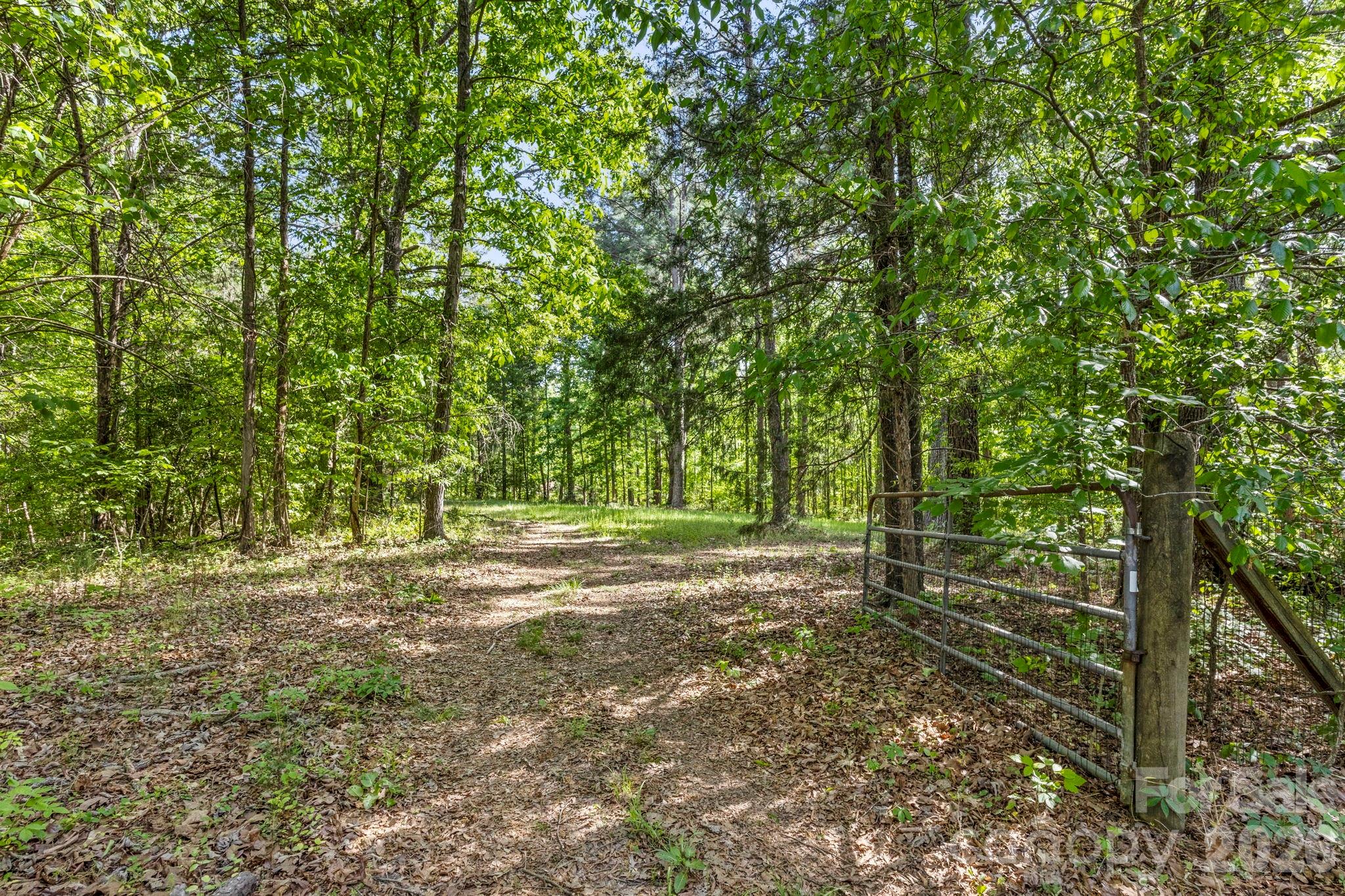 Ivy woods - Residential