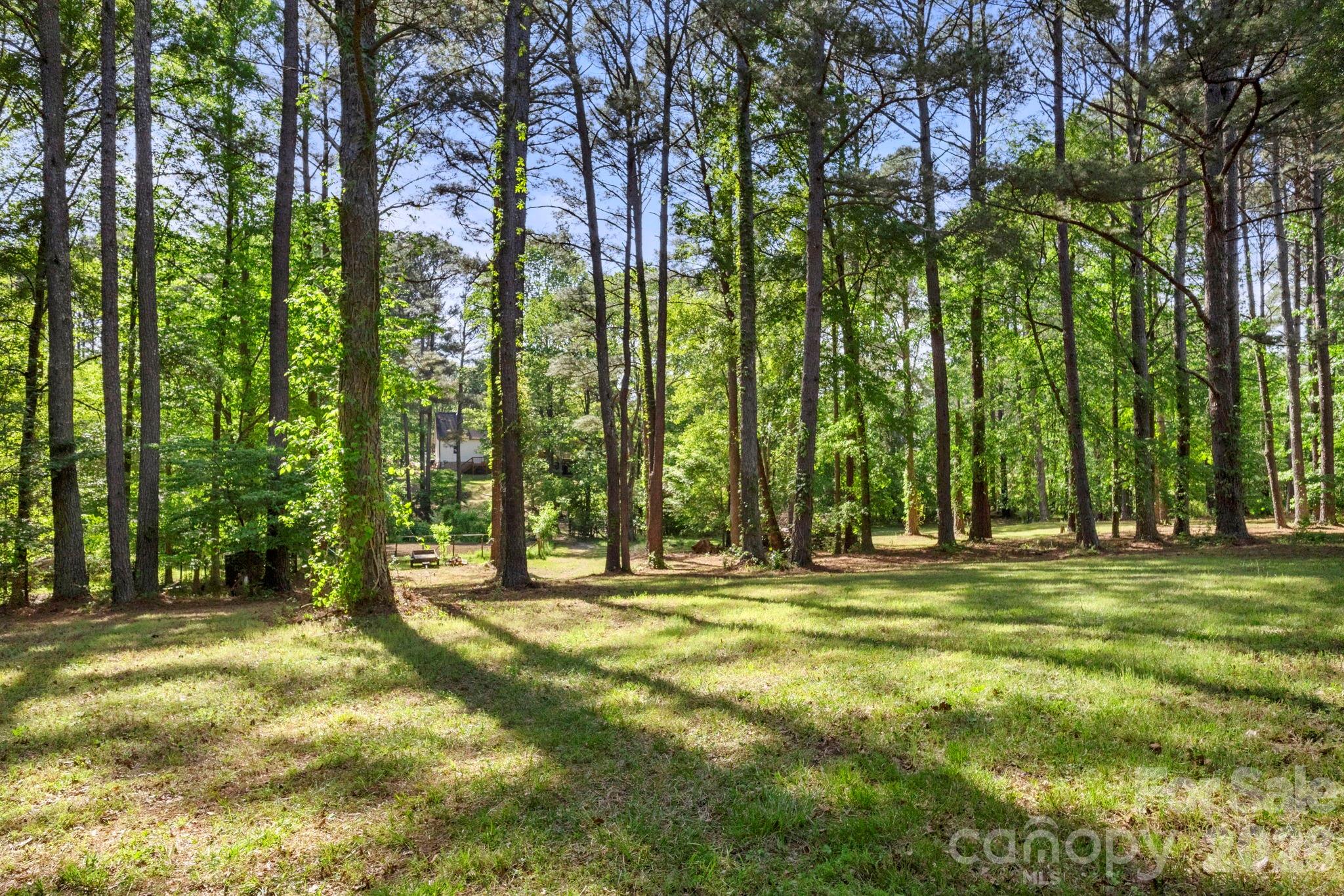 Ivy woods - Residential