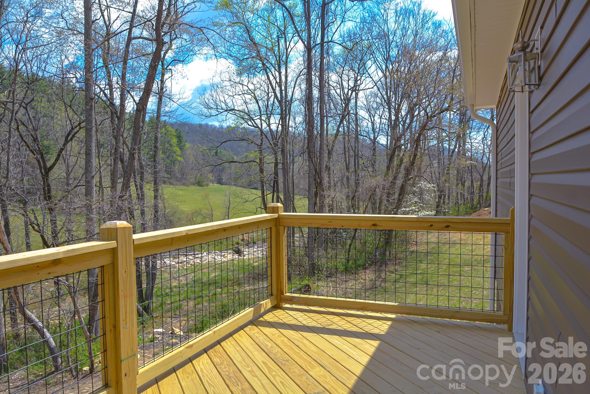 784 Bearwallow Mountain Road