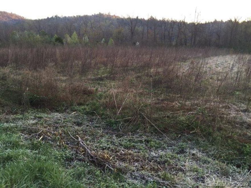 Beautiful level building lot, in a desirable area, bordering Buck Creek