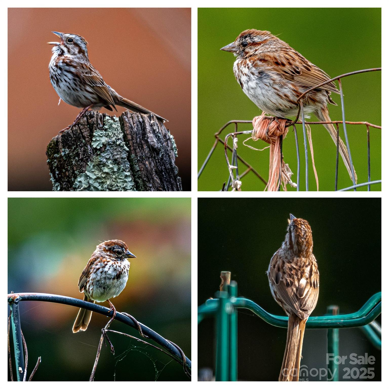 Connestee Falls - Residential