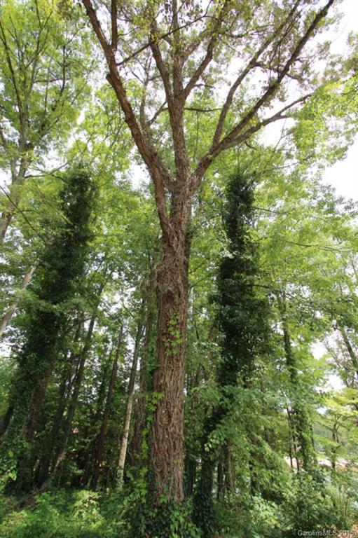 Commodore Peninsula - Land