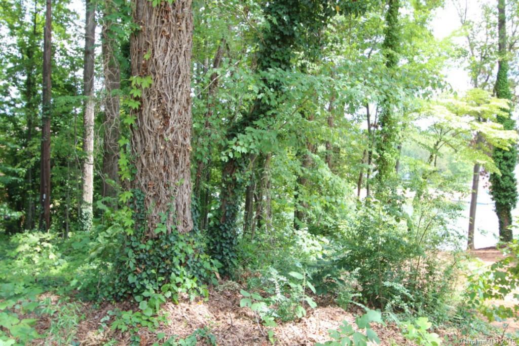 Commodore Peninsula - Land