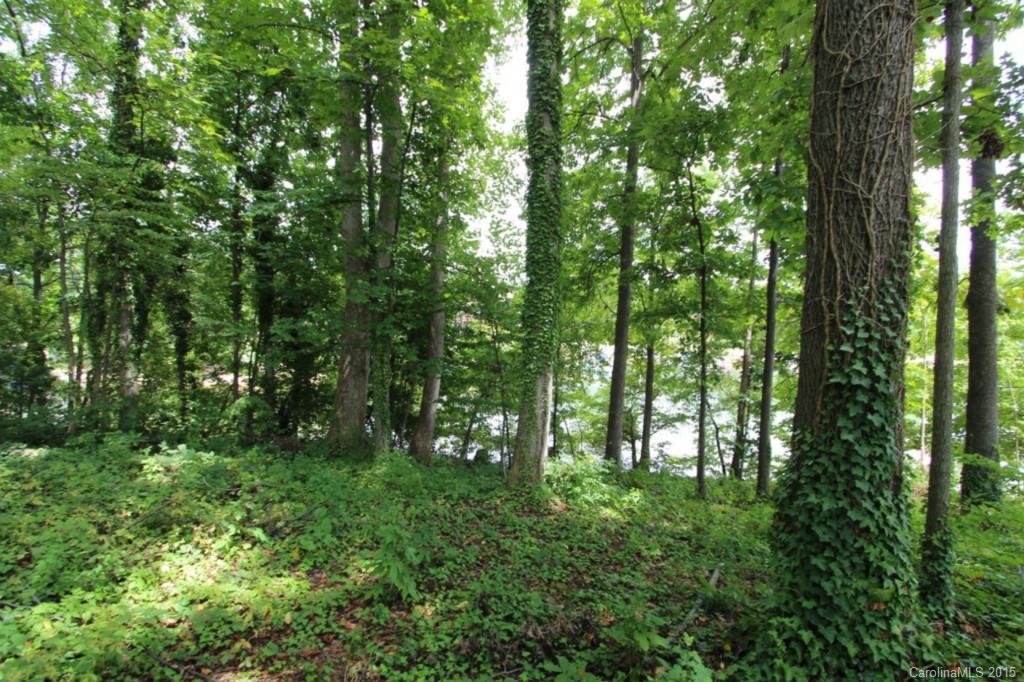 Commodore Peninsula - Land