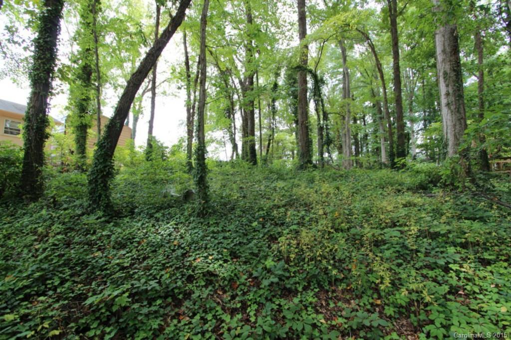 Commodore Peninsula - Land