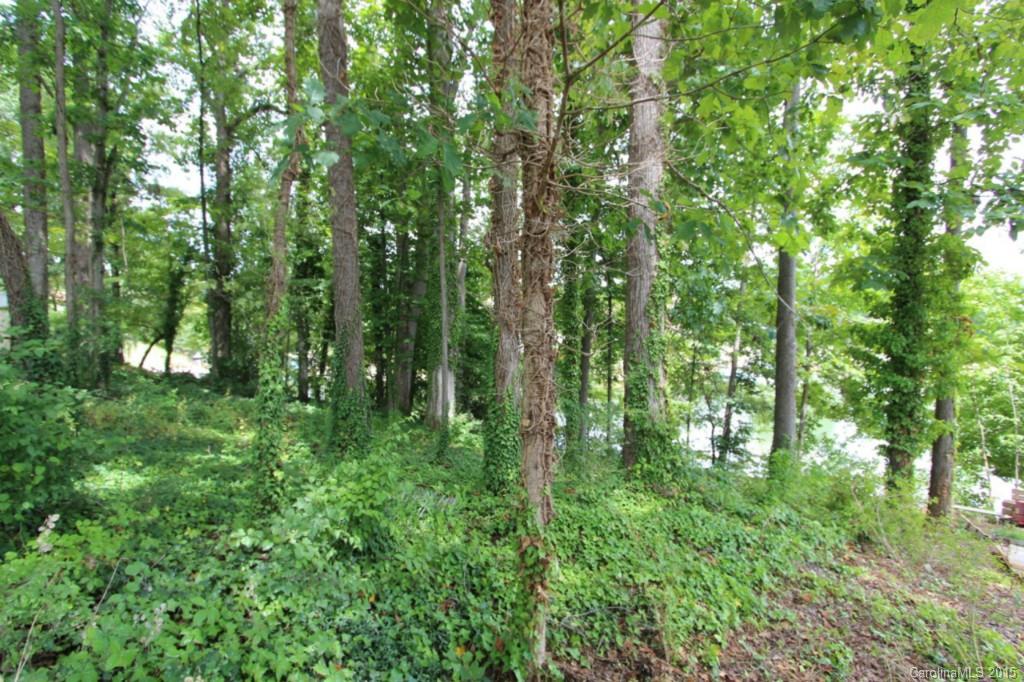 Commodore Peninsula - Land