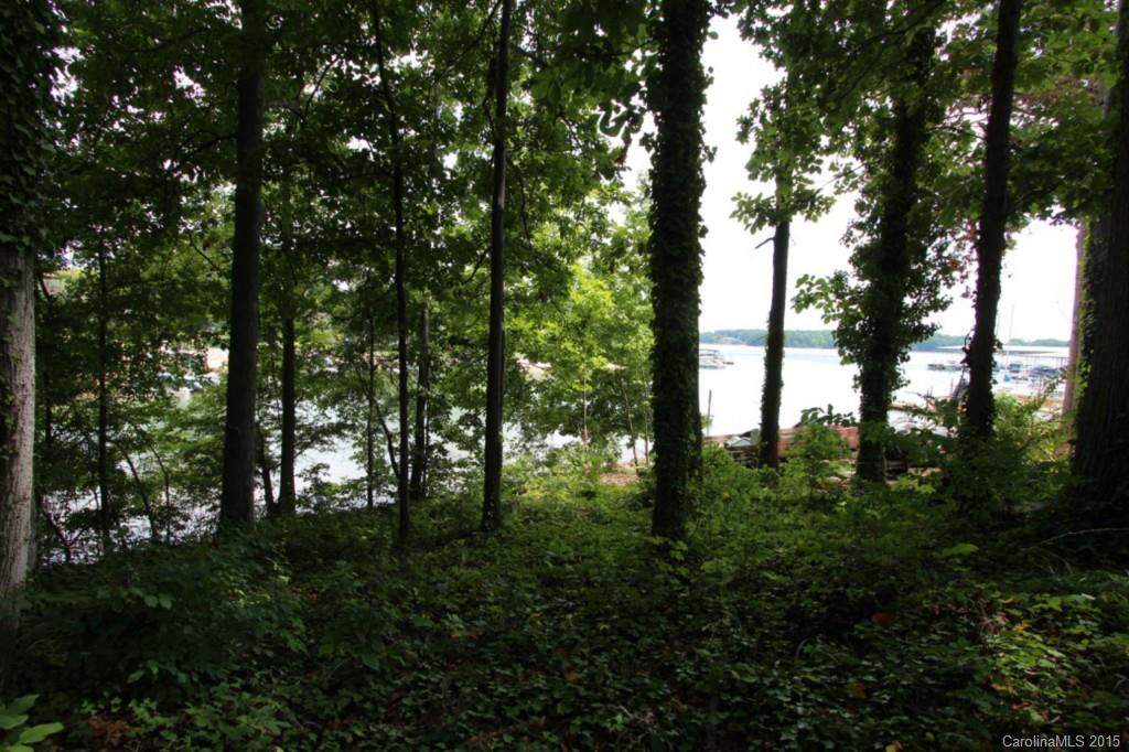 Commodore Peninsula - Land