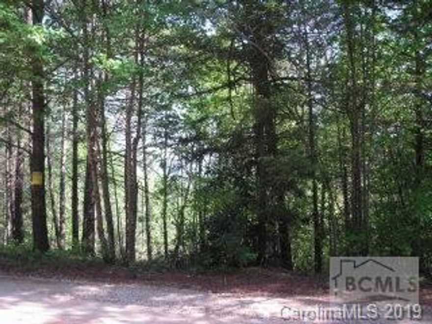 * 10.31 ACRES INCLUDE 3 LOTS ALONG RIGHT SIDE OF WOLF PIT RD. Record #'s 17797, 17798 and 17799. Near LAKE JAMES. UNDERGROUND UTILITIES,LARGE TIMBER,1.25 MILES TO PUBLIC BOAT DOCK. PROPERTY SURROUNDED BY NC GAMELANDS & PISGAH NATIONAL FOREST BEYOND. PRIVATE & SECLUDED YET CLOSE TO THE LAKE.