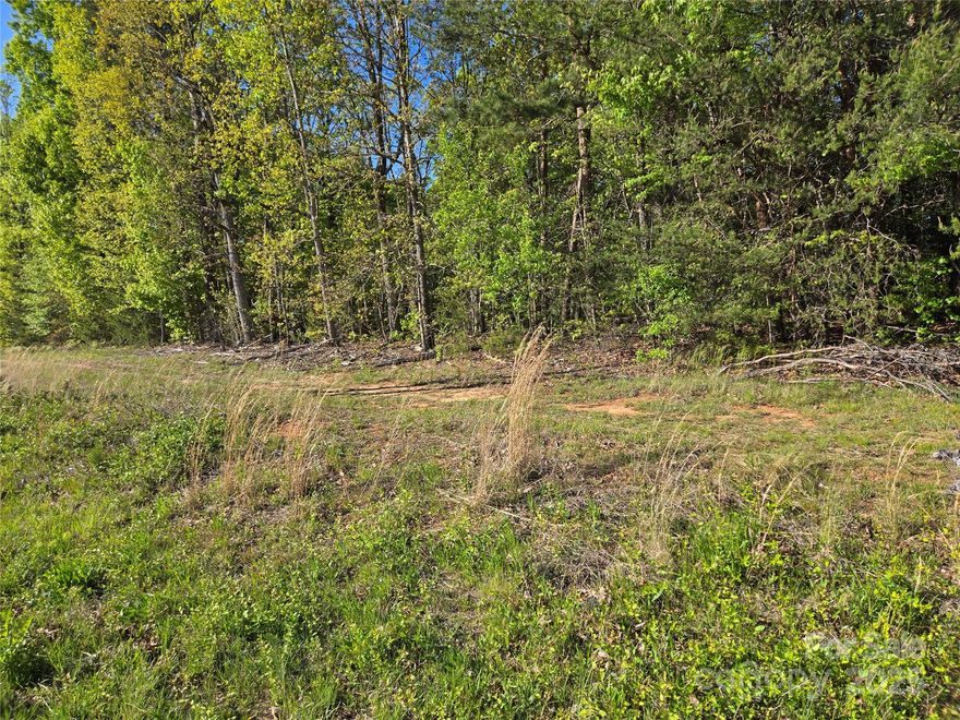 Great location to build your dream home or homes.  Yes, this property may be subdivided, Catawba County can answer any questions about what can be do with this property.