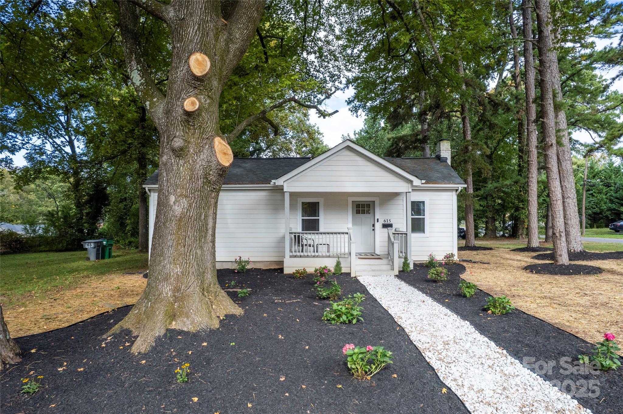 615 Ligustrum Street