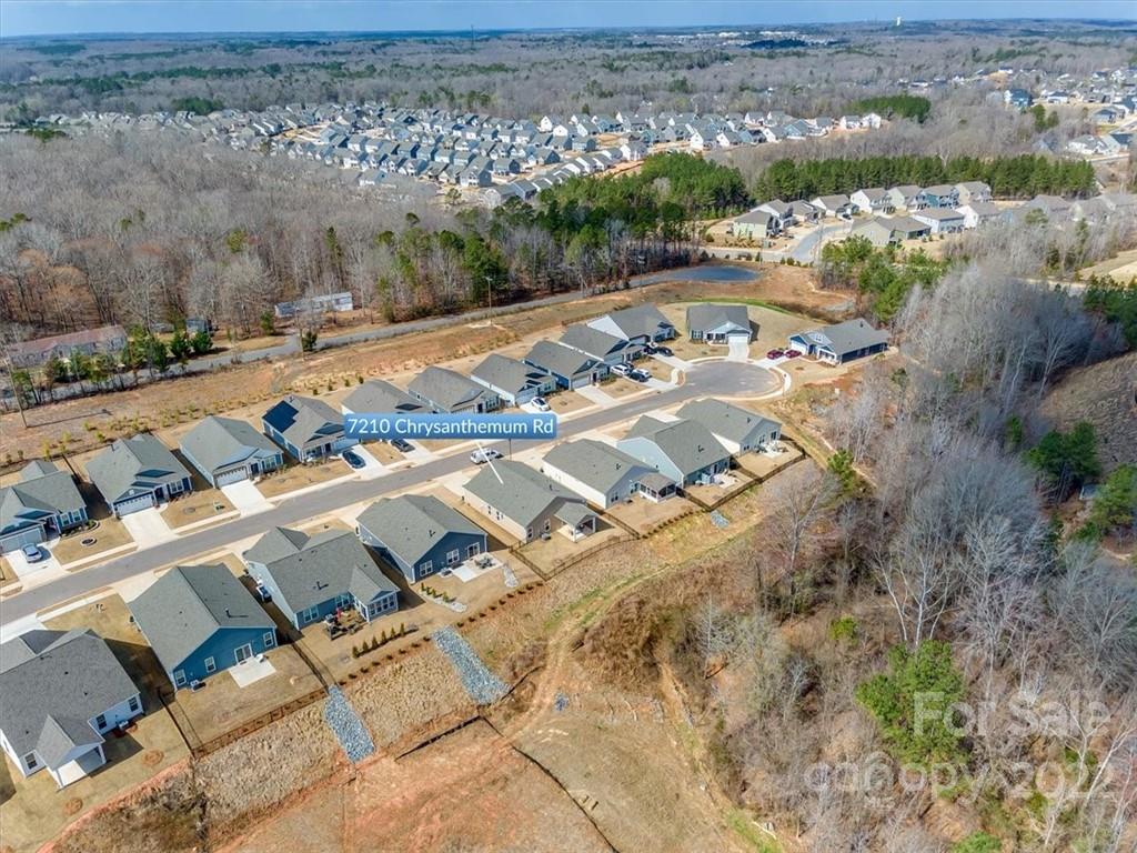 Walnut Creek - Residential