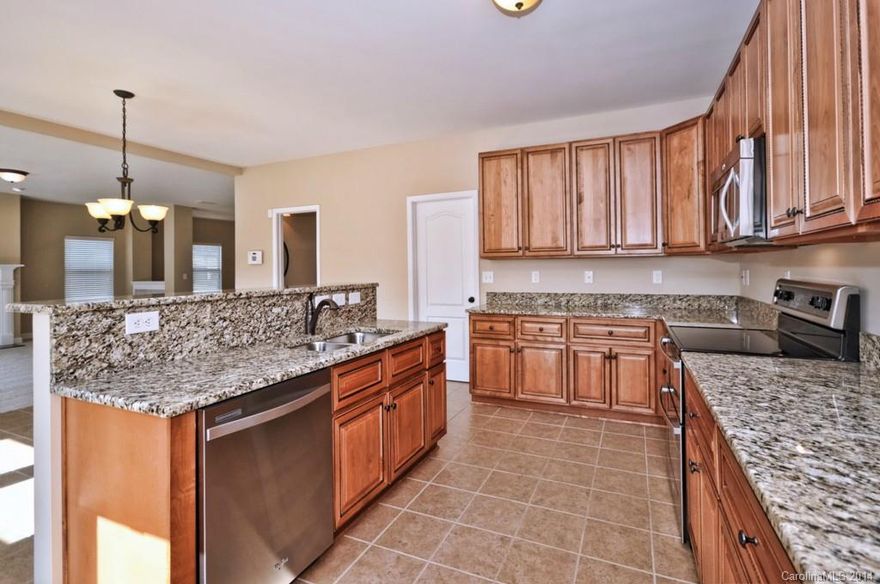 Amazing value at $58 a HSF! New carpet, new paint, new granite, new landscaping - completely move in ready! This like new home has LARGE rooms, 9 ft ceilings on the main level and tons of storage. Kitchen has gorgeous 42" cabinets, new or like new SS appli and granite; The inviting master bath includes granite, large shower and separate water closet. Large bedrooms each have their own walk in closets. Spacious, fenced in backyard provides privacy. Convenient to Charlotte, Gastonia .....